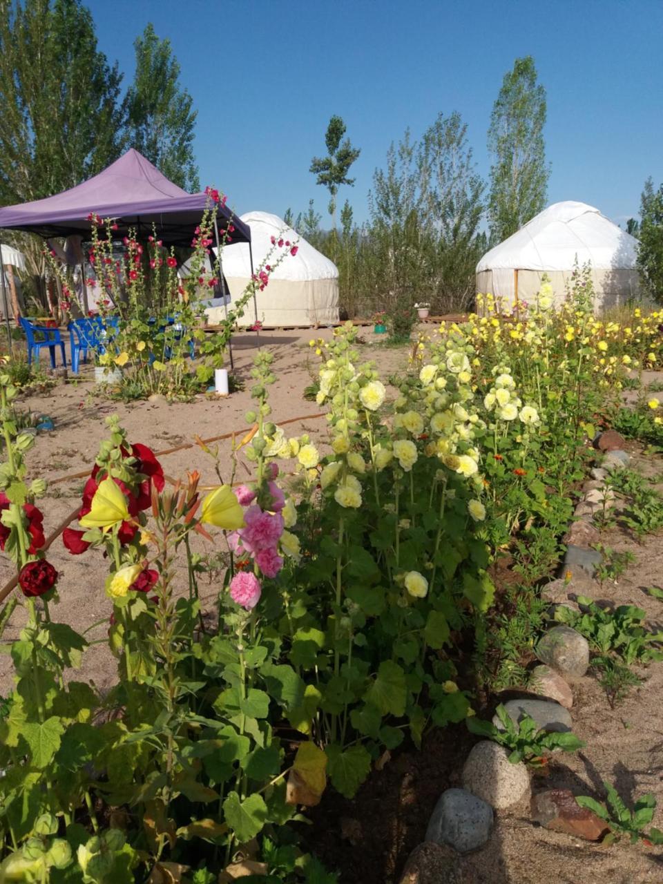 Yurt Camp Tosor 호텔 외부 사진